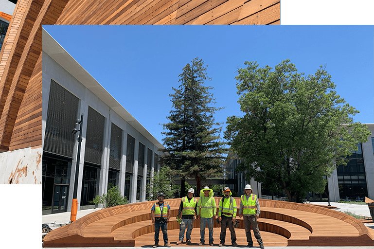 Custom Acoustical Ceilings